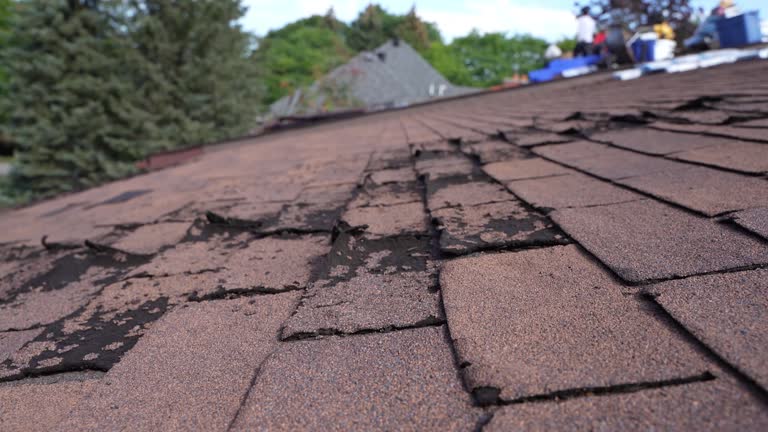 Roofing Service